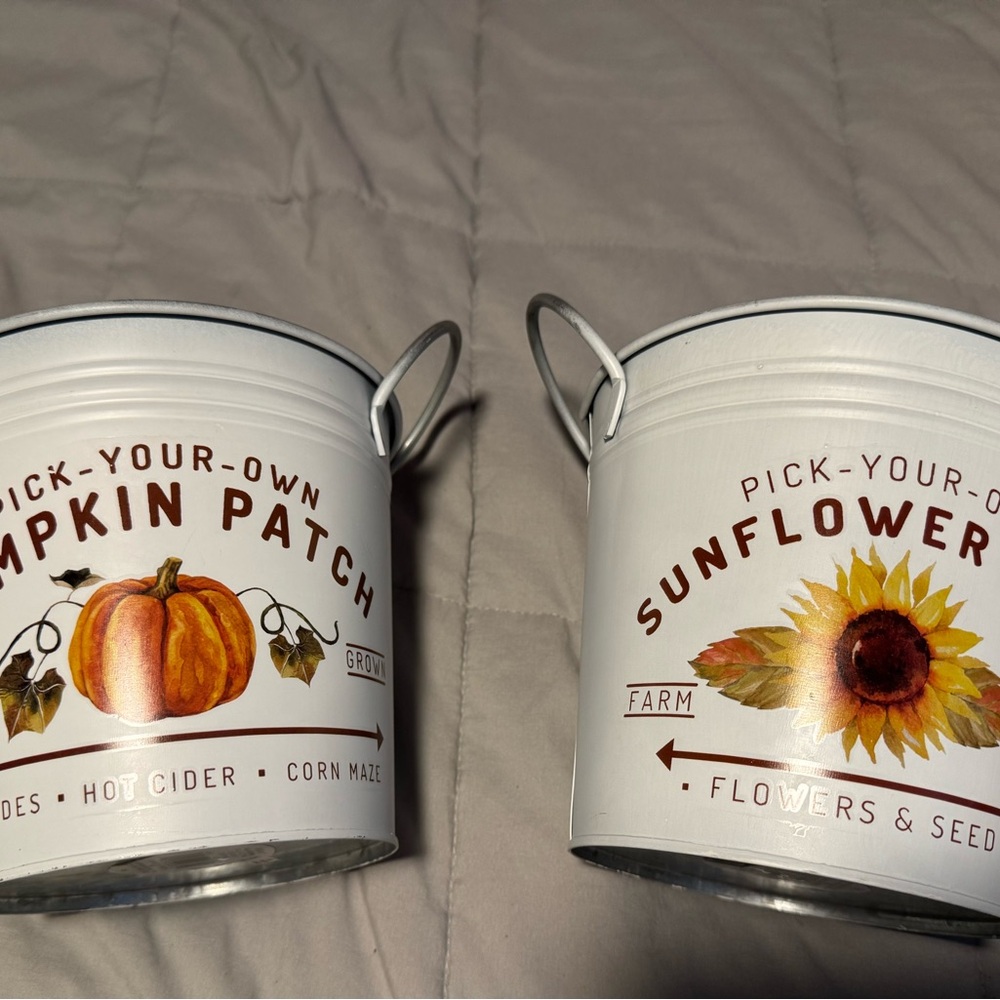 White Pumpkin and Sunflower Decorative Buckets